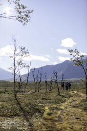 20220903-IMG_3115