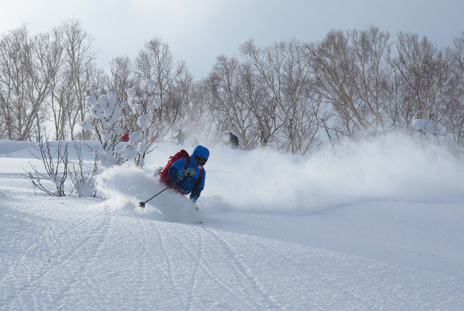 Skiing Japan Hokkaido Pathfinder Travels